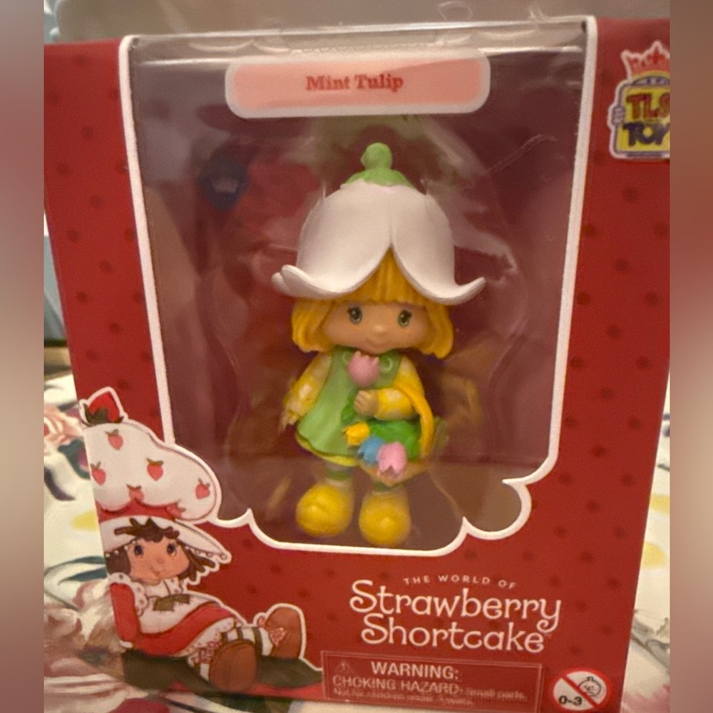 Strawberry Shortcake Mint Tulip Figure🩷 CheeBee TLS toys